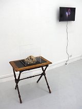  Le Nid et Souffle à l'exposition MIRACLE, Immanence, Paris 2021.