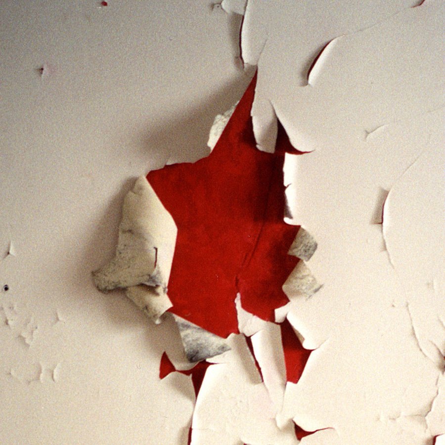 La chambre écorchée