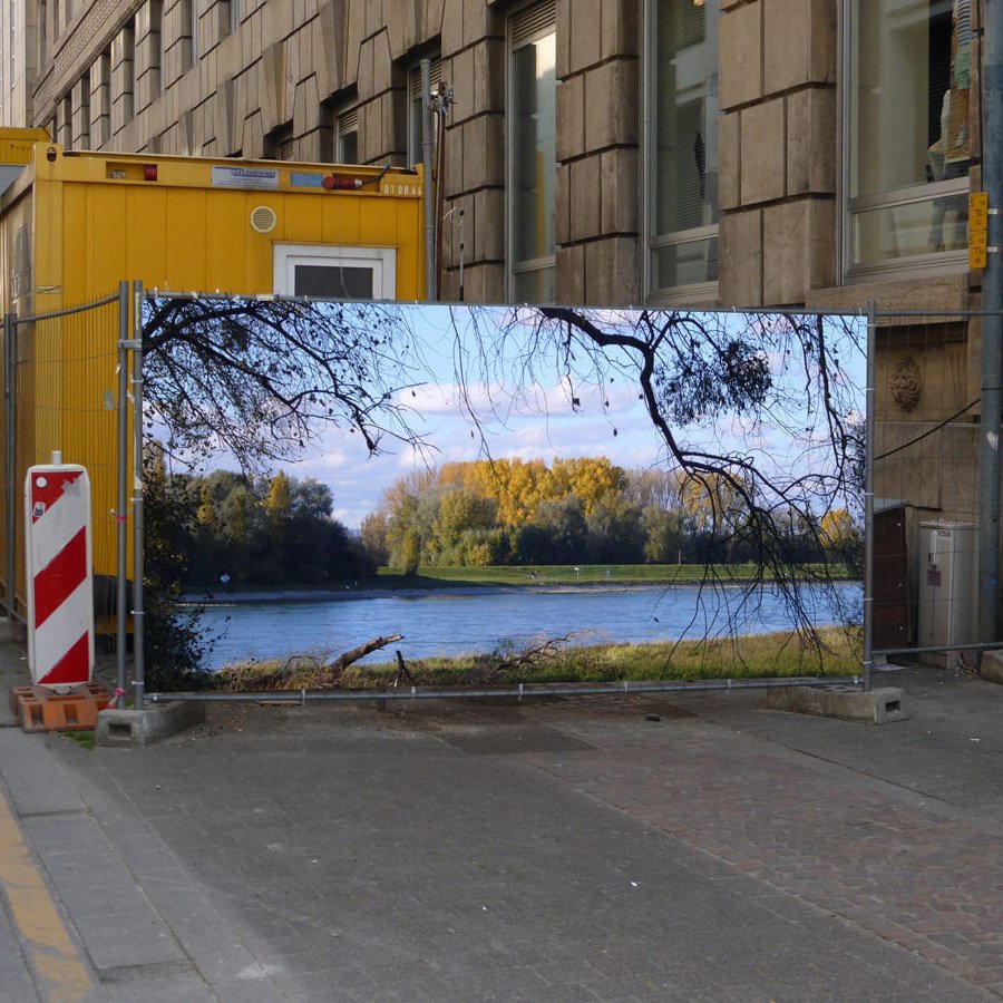 Auen - Rhein in die Stadt !