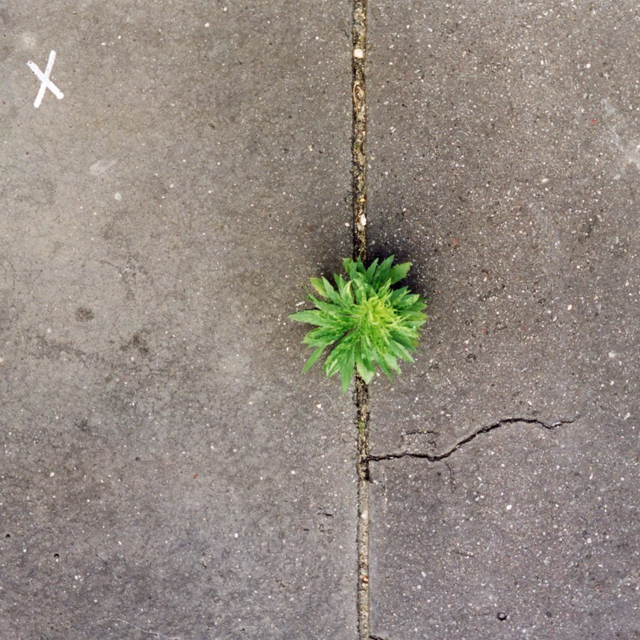 Sous le ciel de Paris